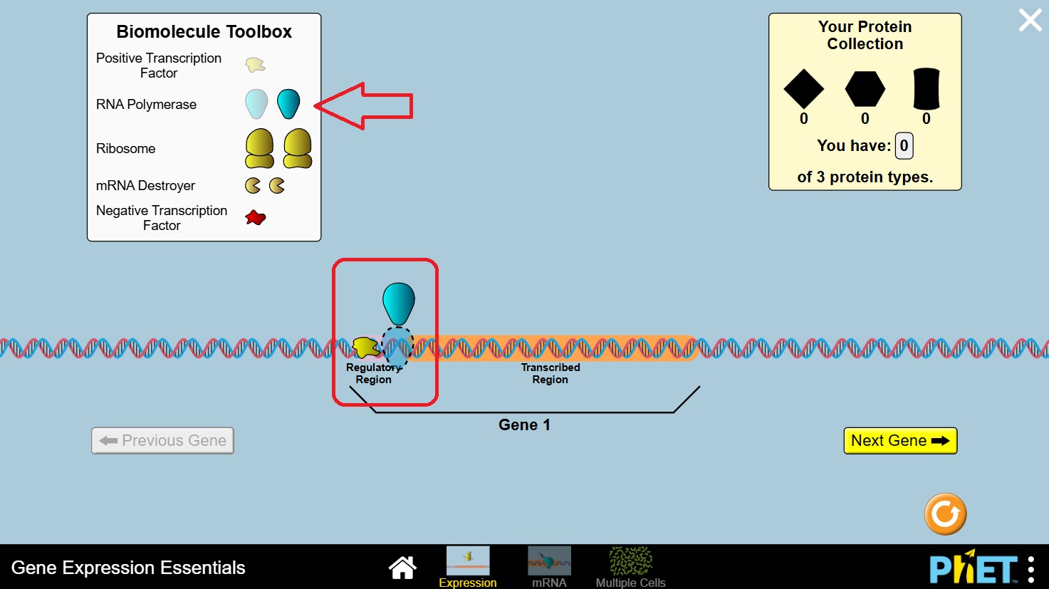 Twin Educator Platform
