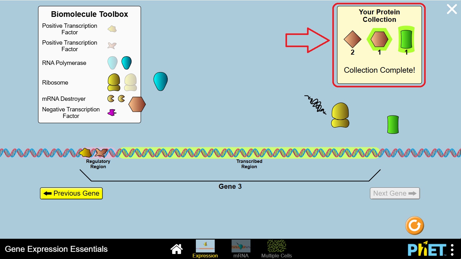 Twin Educator Platform