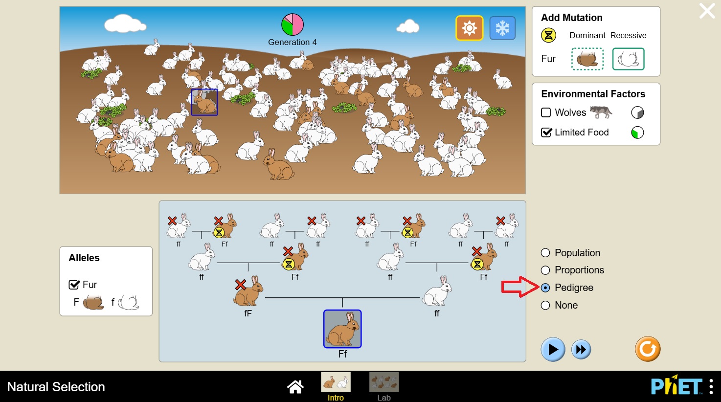 Natural Selection Rabbit Twin Educator Platform