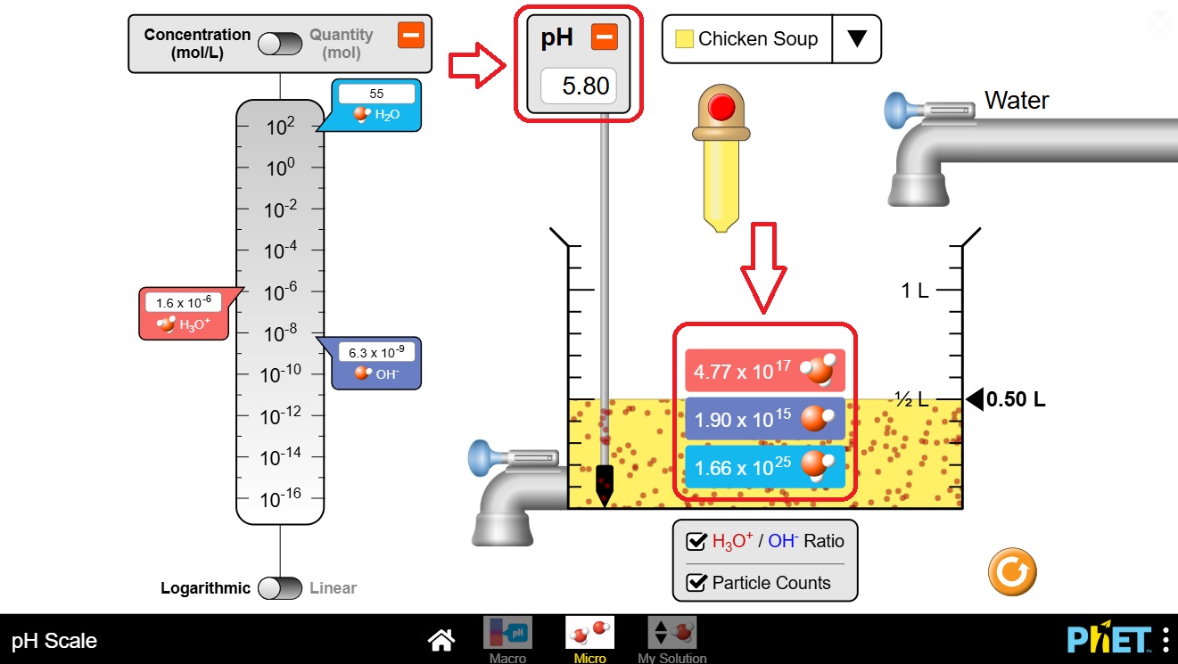 Twin Educator Platform